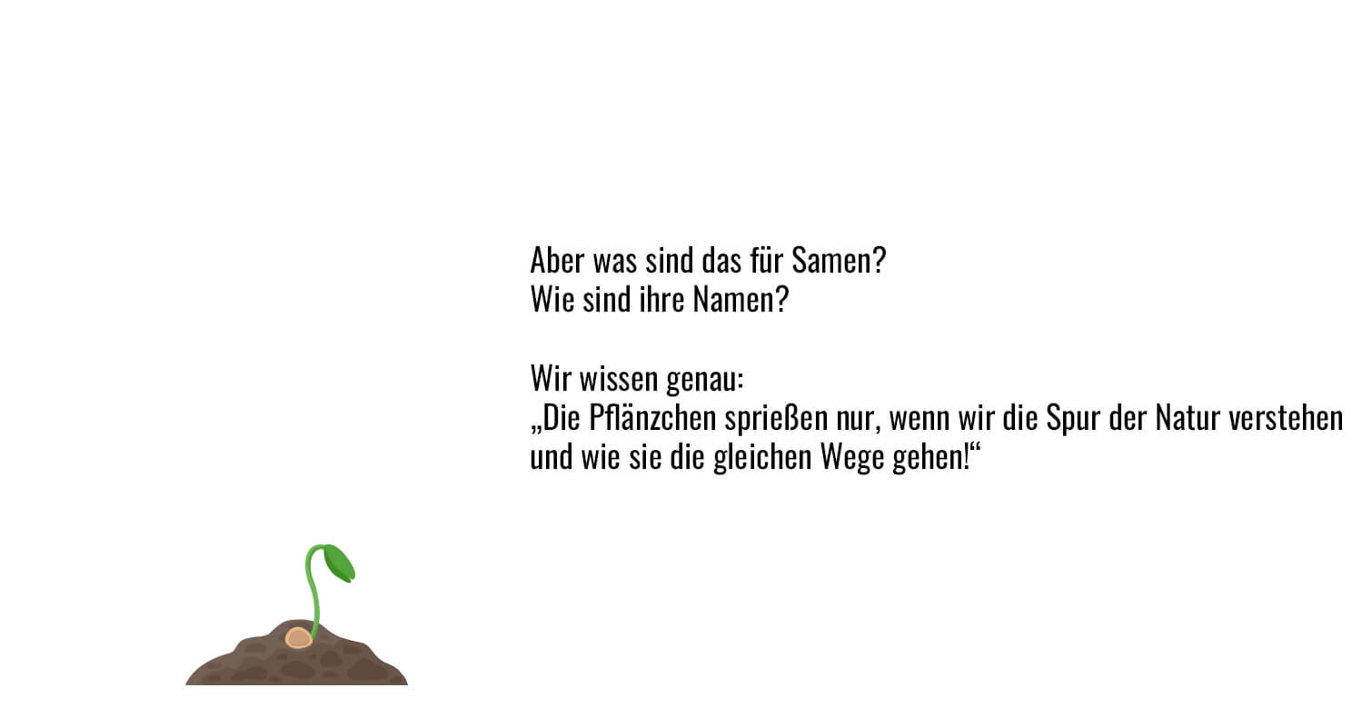 Bild 3 von 8