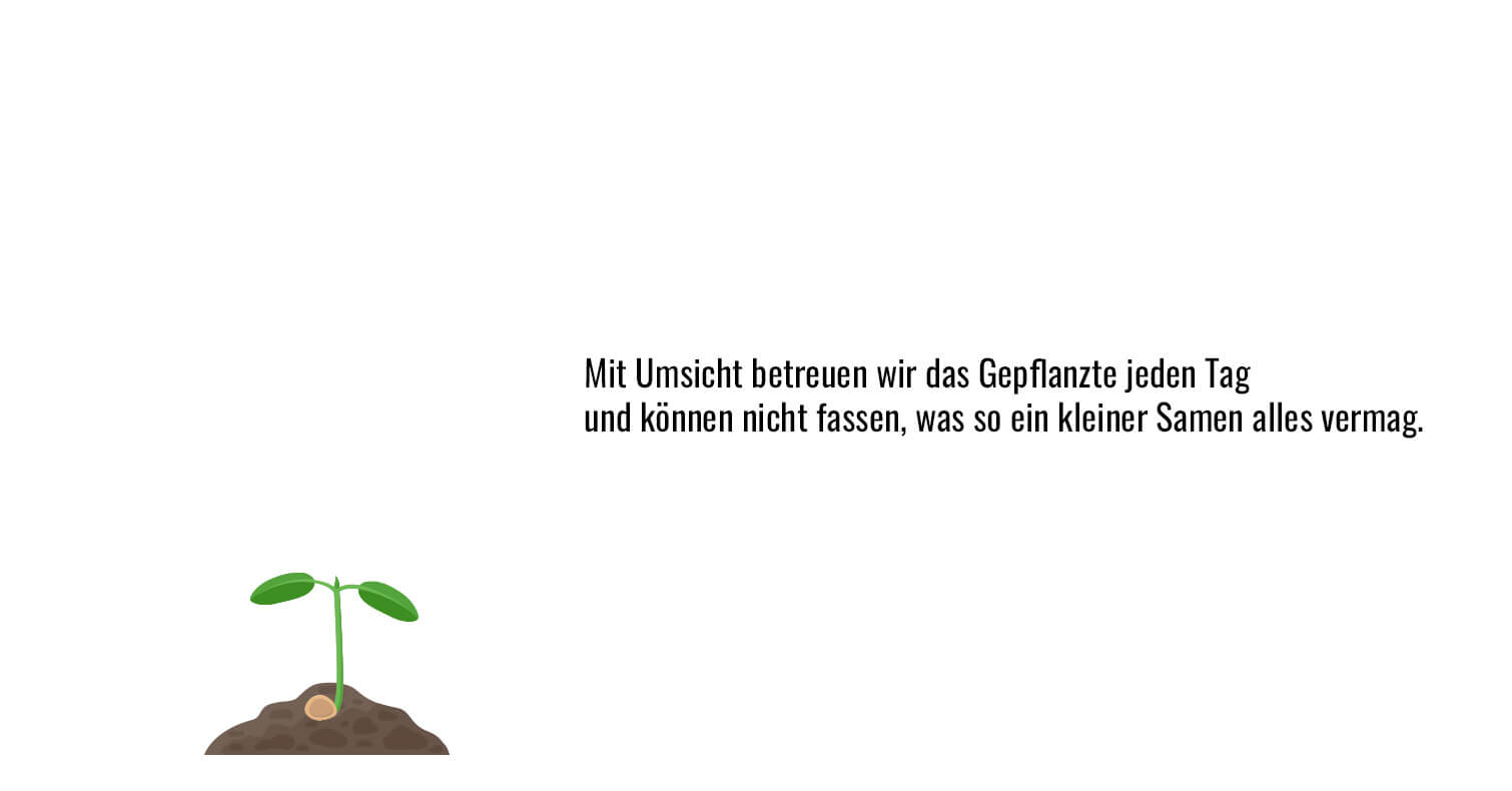 Bild 4 von 8
