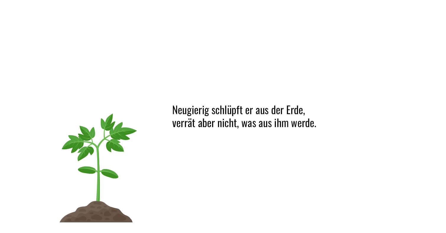 Bild 5 von 8