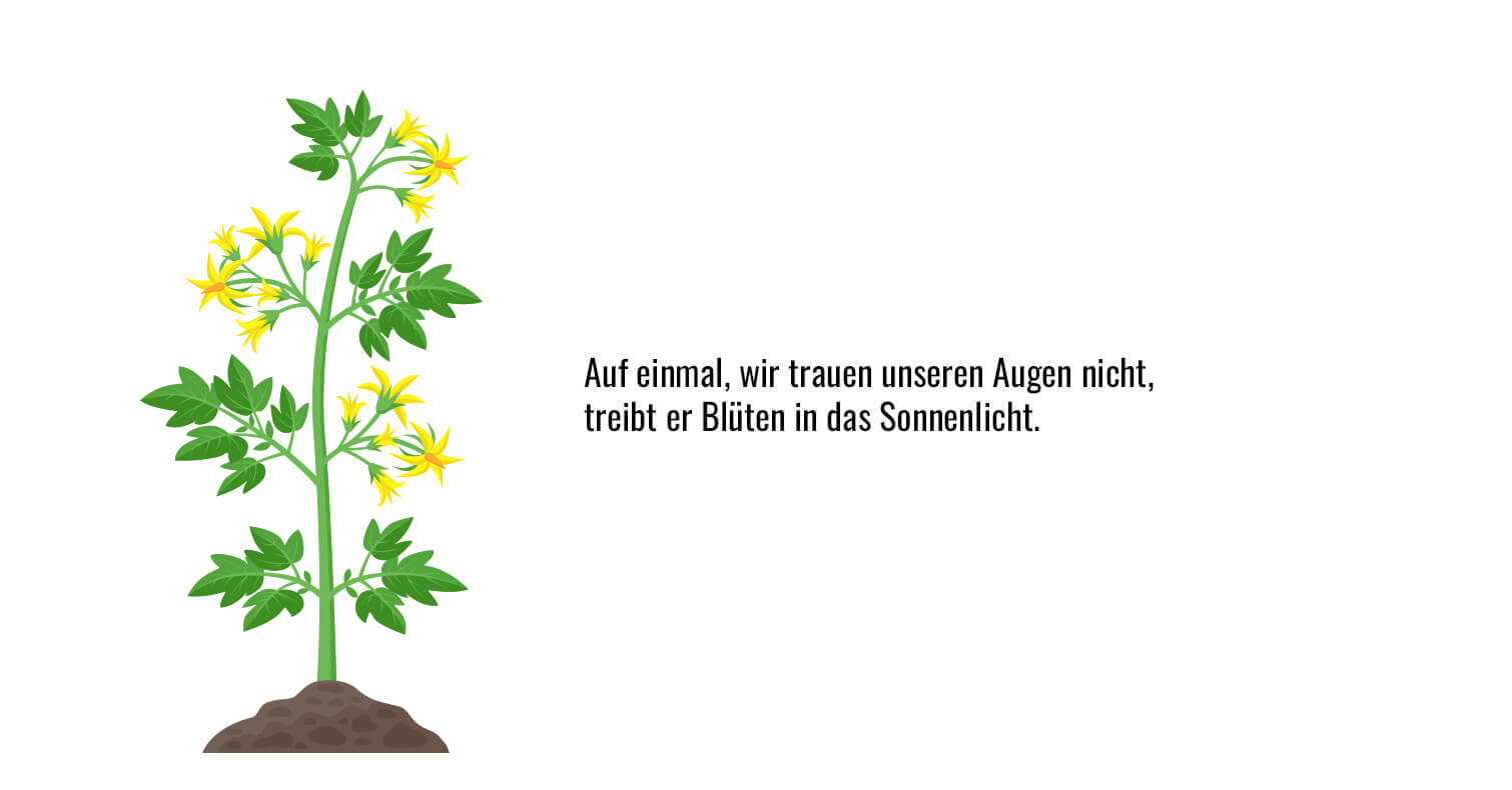 Bild 6 von 8