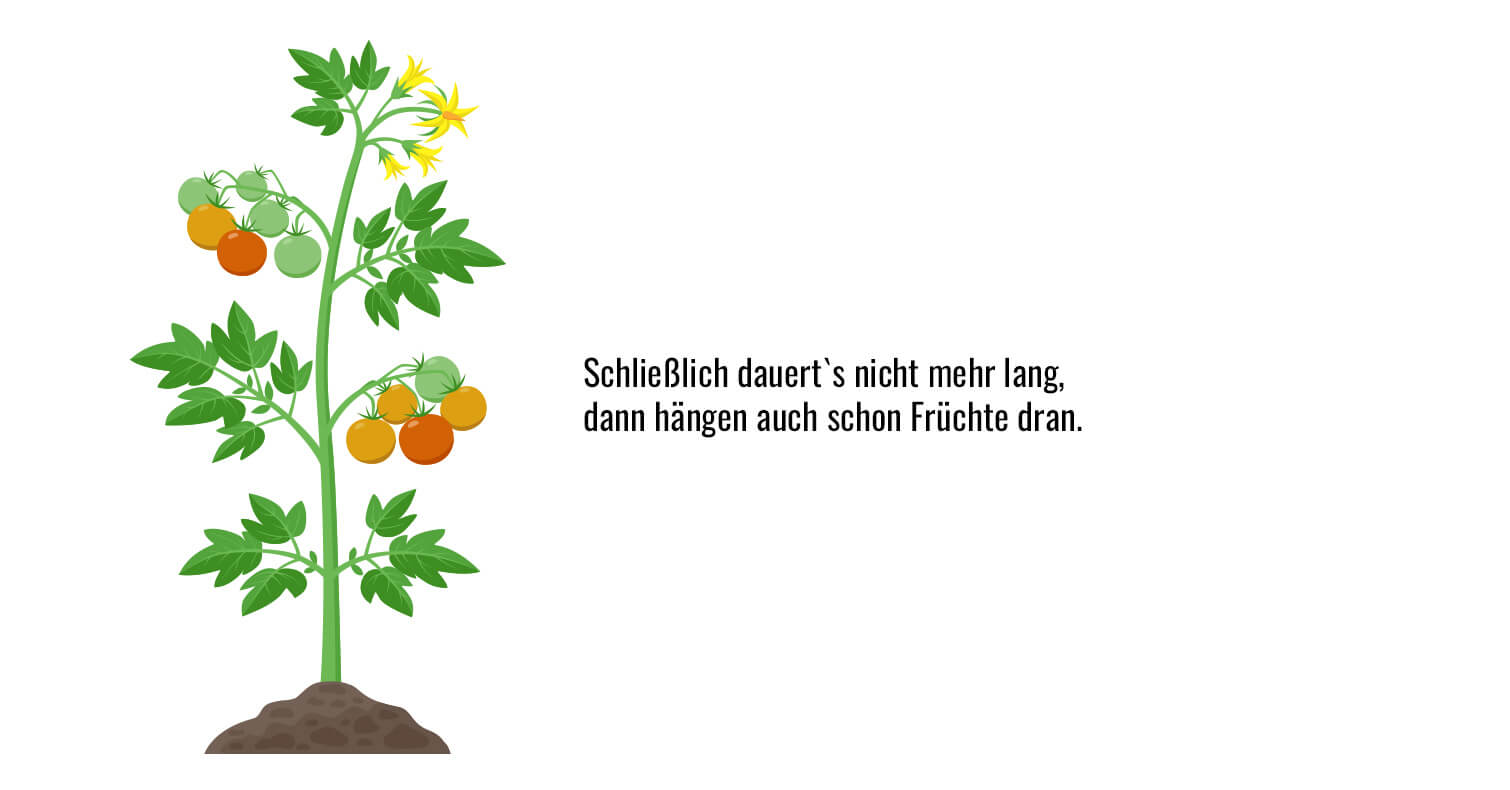 Bild 7 von 8