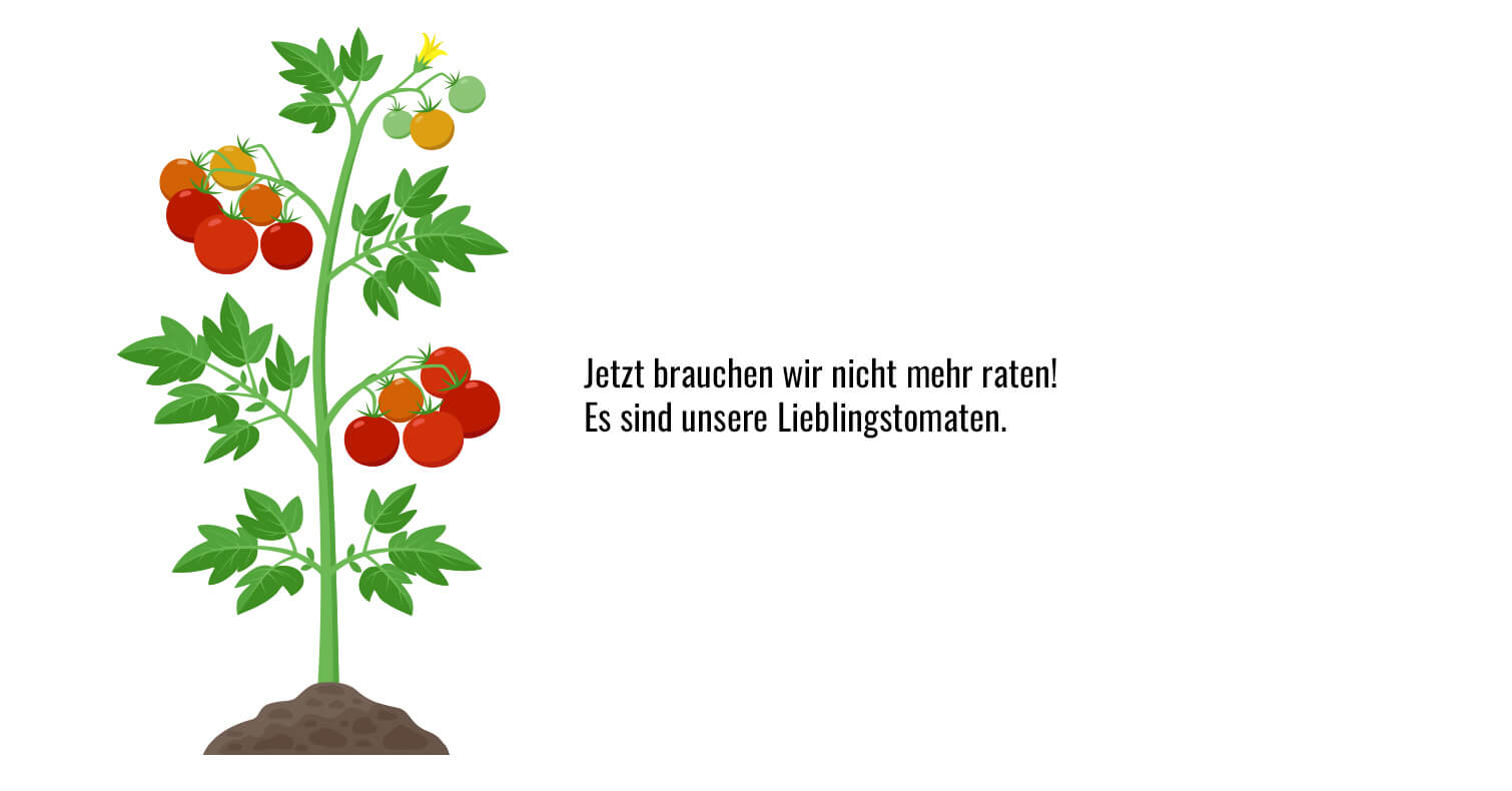 Bild 8 von 8